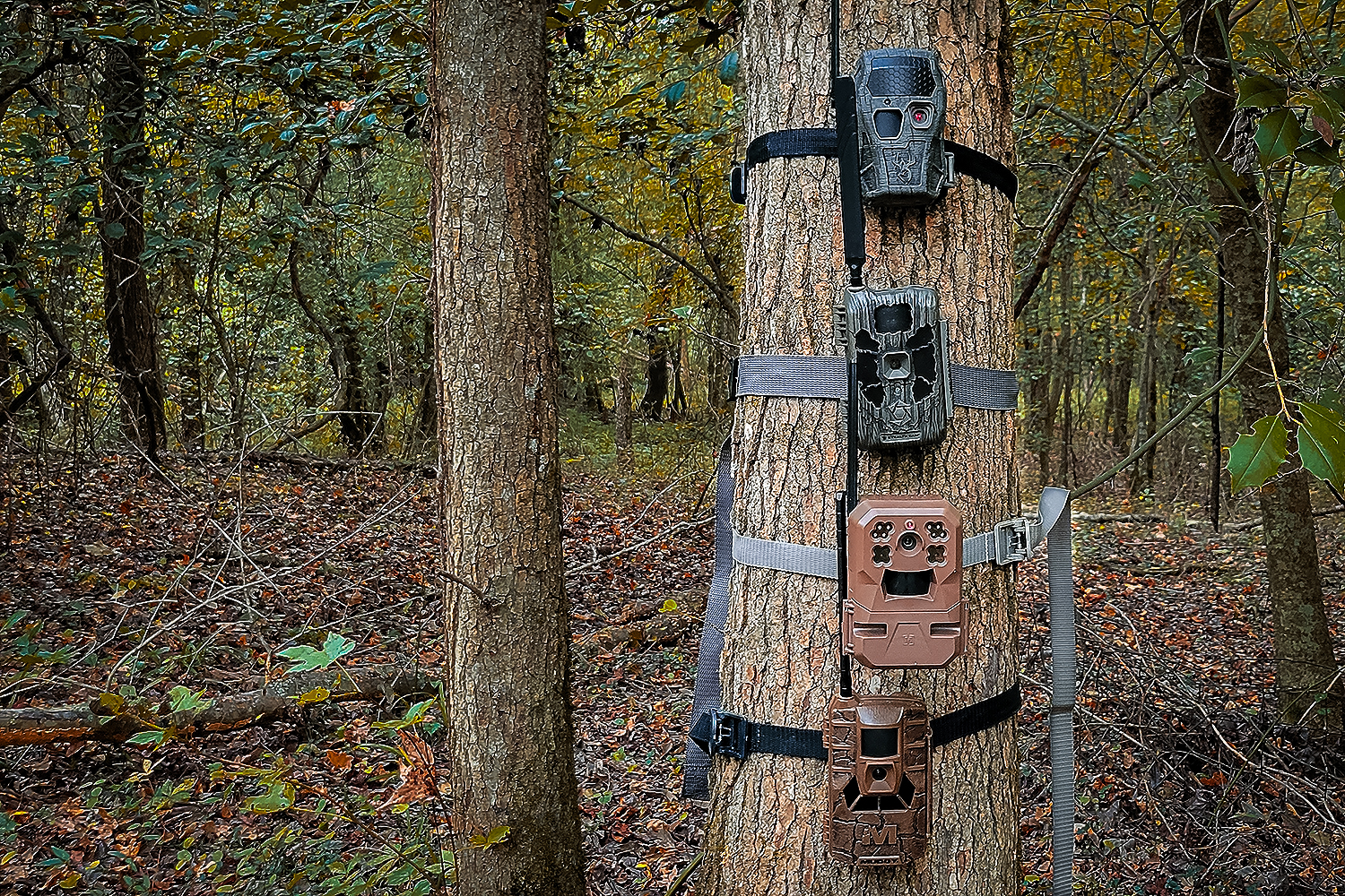 Best 5 Trail Cameras in 2026 – Expert Shopper Review